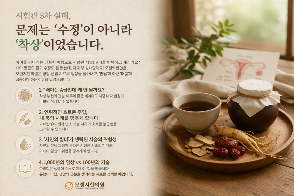 시험관 5차 실패, 문제는 '수정'이 아니라 '착상'이었습니다. · 글에 실린 자료