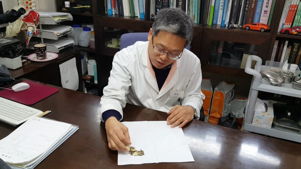 교통사고 후유증에 가장 좋은 한약은? 당귀수산에 사용되는 한약재- 동작구 사당동 오렌지한의원.교통사고후유증 자동차보험 · 글에 실린 자료